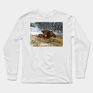 Scottish Highland Cattle Calf and Cow 1604 Long Sleeve T-Shirt